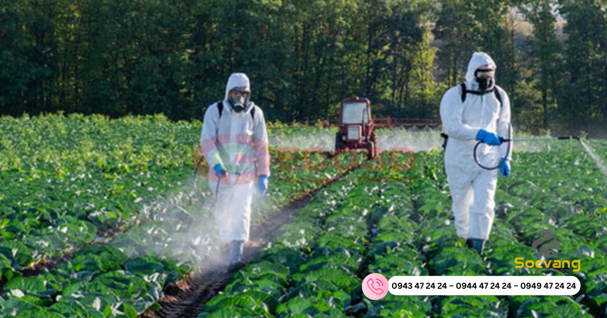 Quần áo bảo hộ lao động môi trường làm việc thích hợp ngành nông nghiệp
