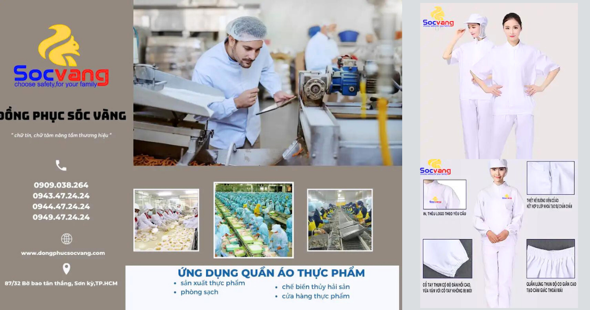 Tổng Quan Về Ngành May Công Nghiệp Tại Tphcm